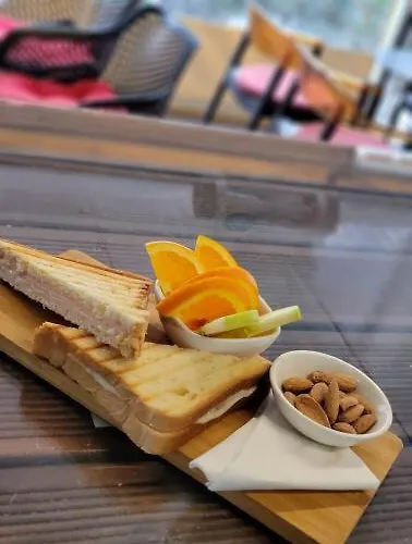 B&B 21-rooms 티라나